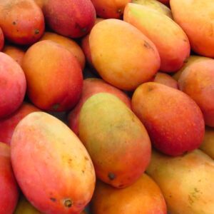 A closeup shot of colorful red orange mangos organized in rows at a fruit market