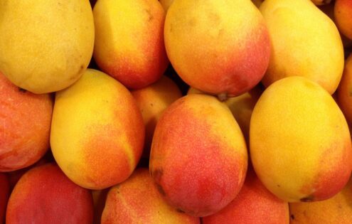dried mango powder