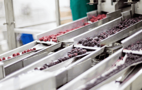 freeze dried fruit powder manufacturers