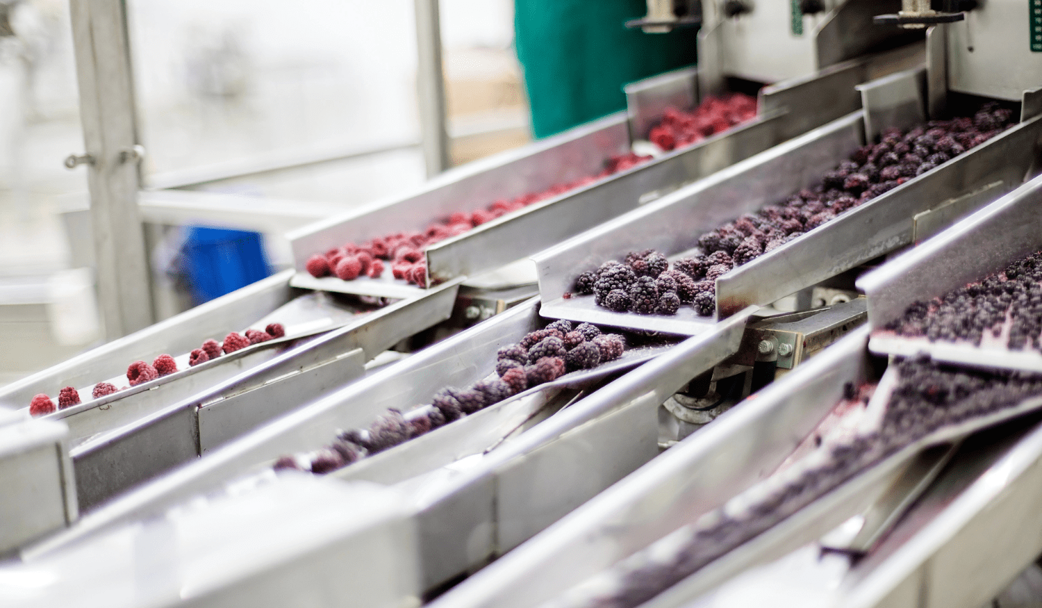 freeze dried fruit powder manufacturers