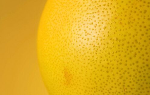 Best grapefruit powder as a sustainable superfood reducing waste