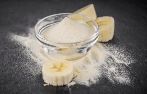 freeze-dried fruit powder manufacturers